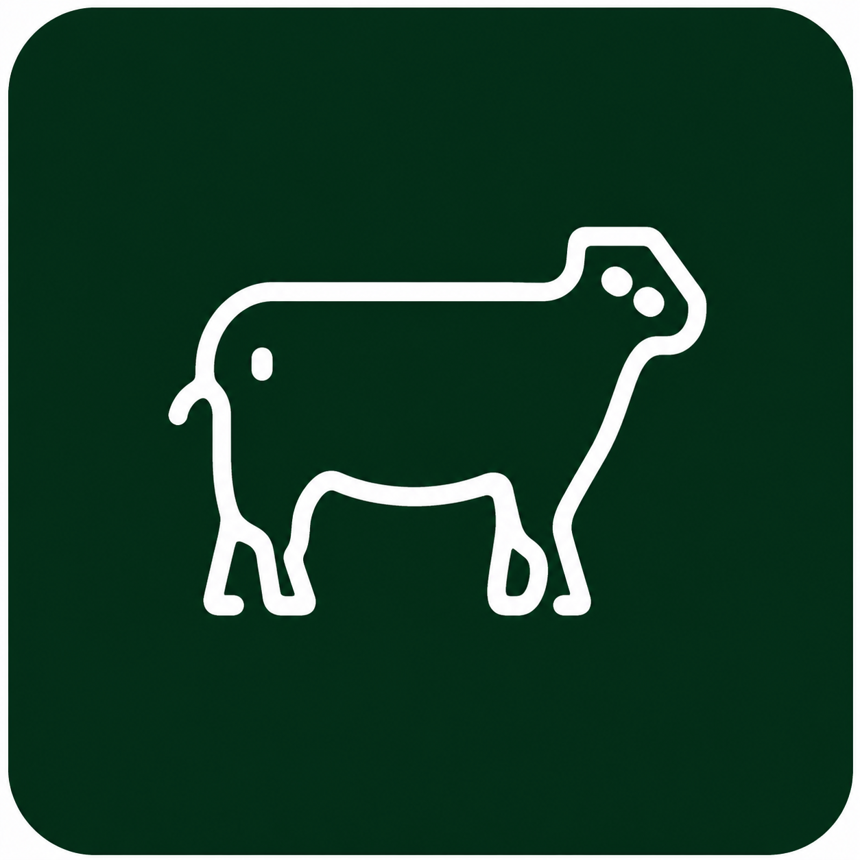 LIVE ANIMALS 